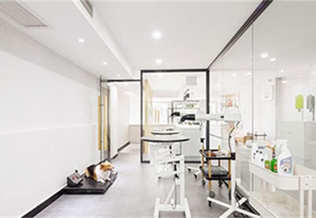 合肥寵物店設(shè)計裝修考慮什么？裝修公司重點總結(jié)